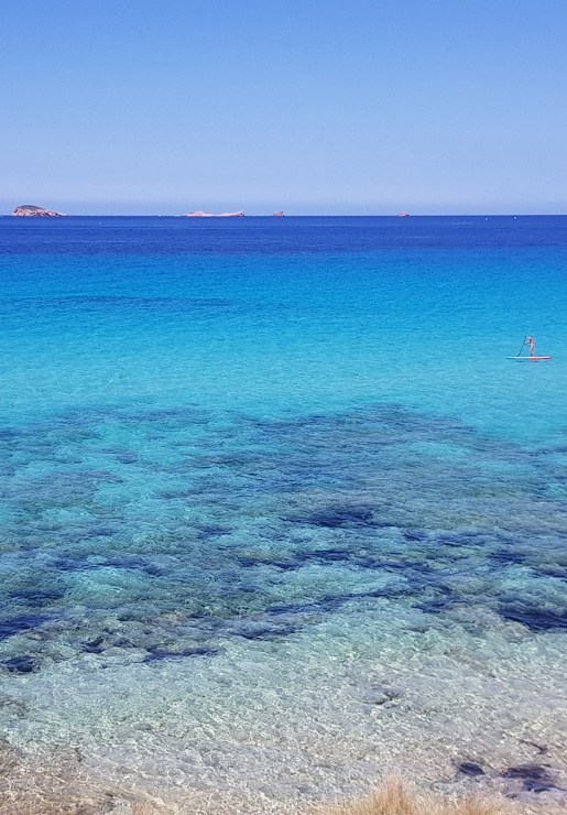 Responsabilidad ecologica Ibiza