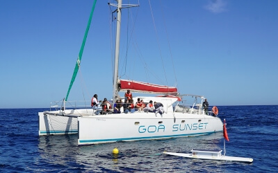 Semana del Mar Ibiza Avistamiento de escualos con Shark Med